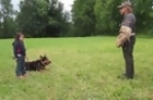A 5 Year Old Girl Getting Protected By Her German Shepherd