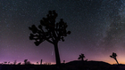 60 Seconds Timelapse of the Perseid Meteor Shower in Joshua Tree Park
