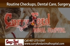 Orlando Veterinarian or Animal Hospital Call 407-275-5397