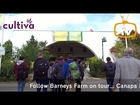 Barneys Farm @ Cultiva 2017 Vienna - BARNEYS TV