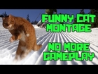 No More Gameplay Videos on YouTube? (Cat Montage and Commentary)
