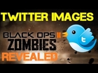 Black Ops 2 DLC Pack #2 Zombie Twitter Image Origins Discovered | What a Bunch of Trolls!