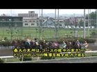 帯広　ばんえい競馬 The ban-ei horse racing at obihiro