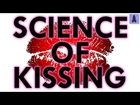 The Science of Kissing | It's Okay To Be Smart | PBS Digital Studios