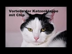 Katzenklappe mit chip - Was bringt sie?