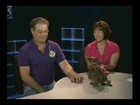 St. Lucie County Humane Society Adopt-A-Pet - PSL-TV20, June 18, 2013