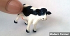 Is Cow Tipping a Myth?