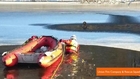 Firefighters Rescue Dog Stranded in Icy Water