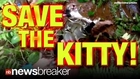 CAUGHT ON TAPE: Kitty Rescued from Clutches of Boa Constrictor