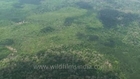 Island rivers snake through Andamans island forests