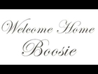 Plies - Welcome Home Boosie (Produced by Shawn T.)